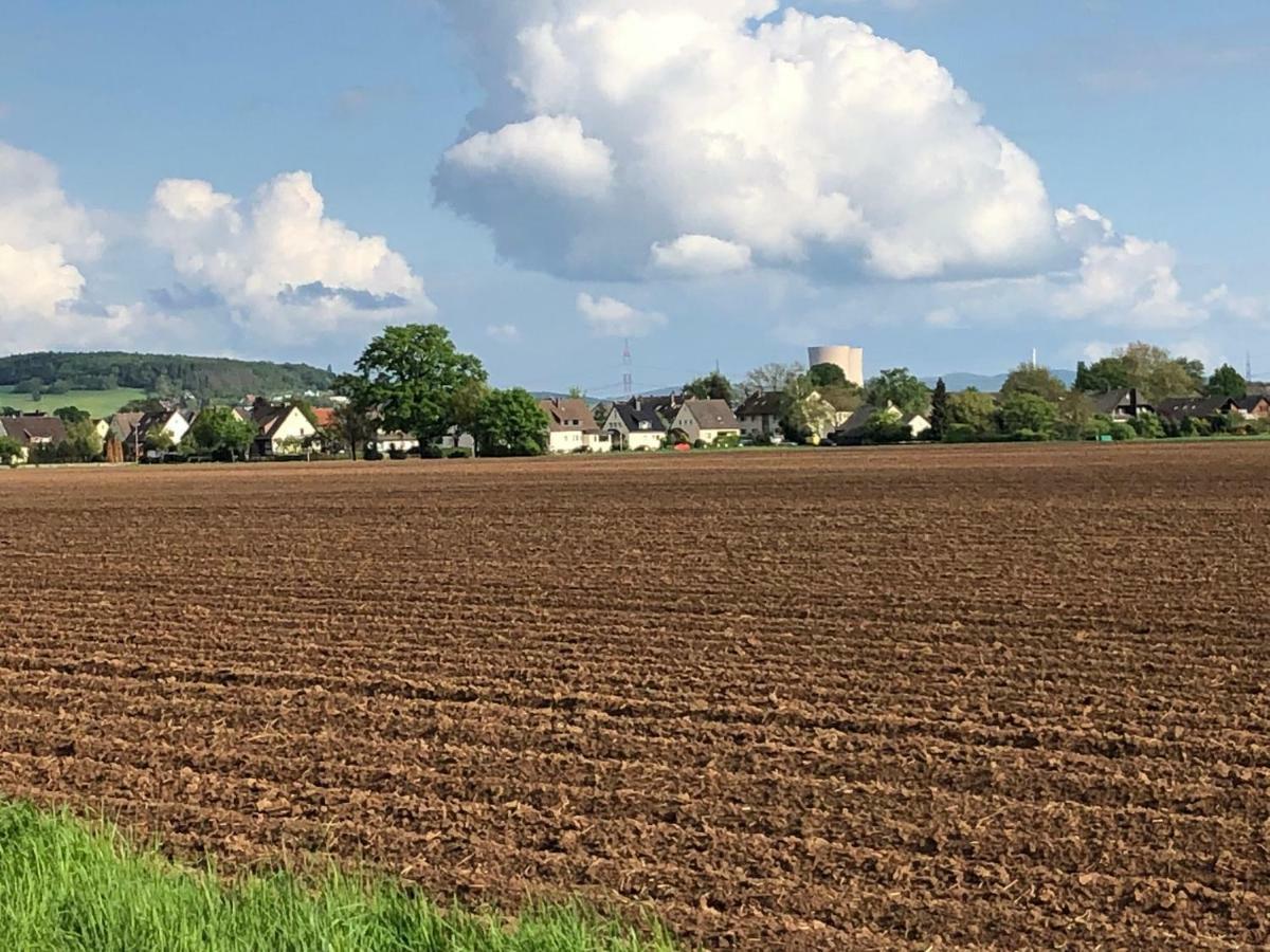 Ferienwohnung Hameln Direkt Am Weserradweg Hamelin Exteriör bild